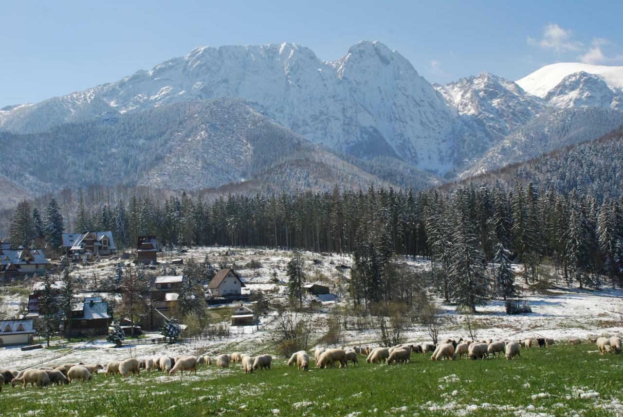 Domek Na Wierchu I Apartament Na Wierchu Zakopane Bagian luar foto