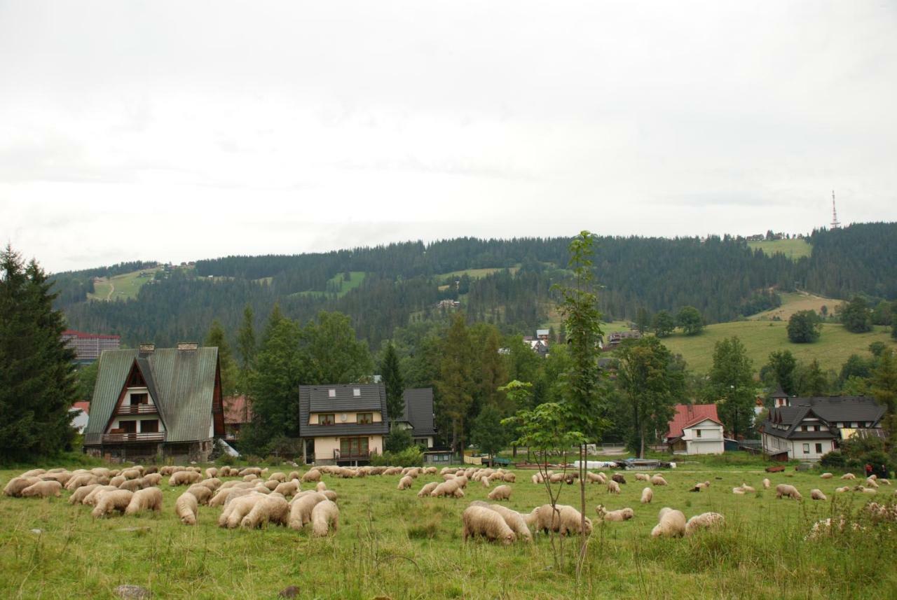 Domek Na Wierchu I Apartament Na Wierchu Zakopane Bagian luar foto